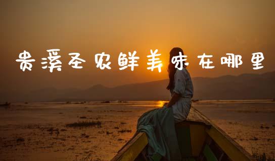 贵溪圣农鲜美味在哪里_https://m.letulww.com_期货开户保证金_第1张