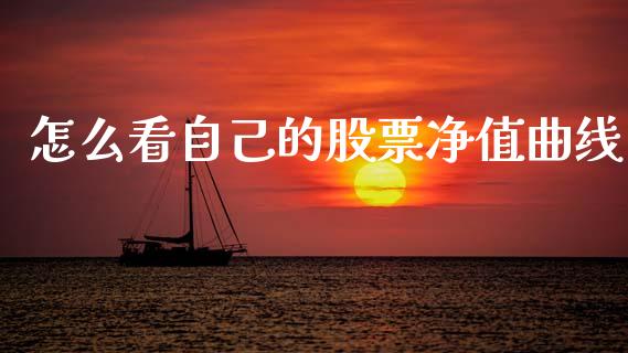 怎么看自己的股票净值曲线_https://m.letulww.com_股指期货交易时间_第1张