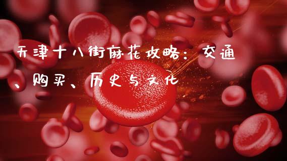 天津十八街麻花攻略：交通、购买、历史与文化_https://m.letulww.com_股指期货交易时间_第1张