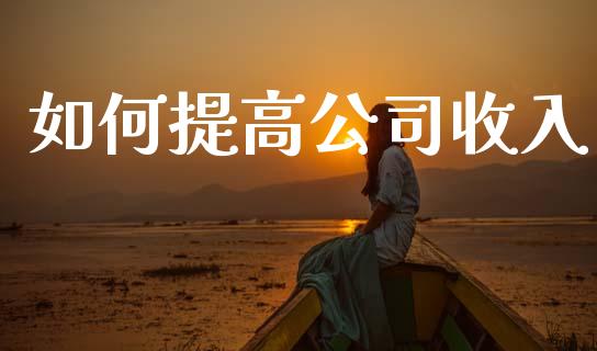如何提高公司收入_https://m.letulww.com_期货交易软件_第1张