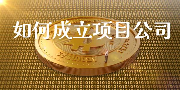 如何成立项目公司_https://m.letulww.com_期货开户保证金_第1张