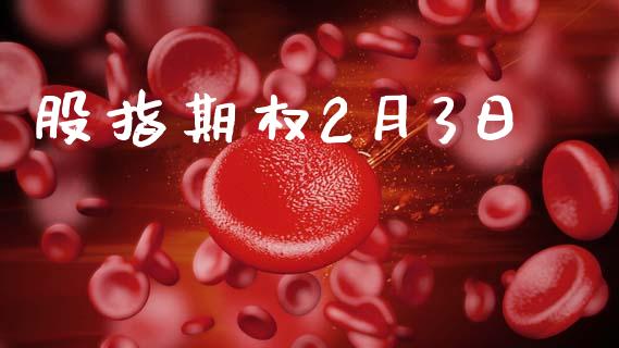 股指期权2月3日_https://m.letulww.com_期货交易策略_第1张