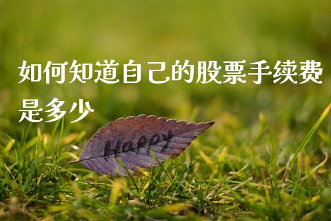 如何知道自己的股票手续费是多少_https://m.letulww.com_期货交易软件_第1张