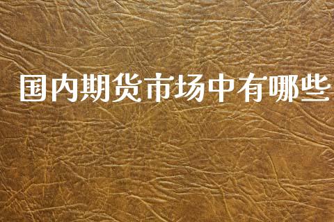 国内期货市场中有哪些_https://m.letulww.com_期货开户保证金_第1张