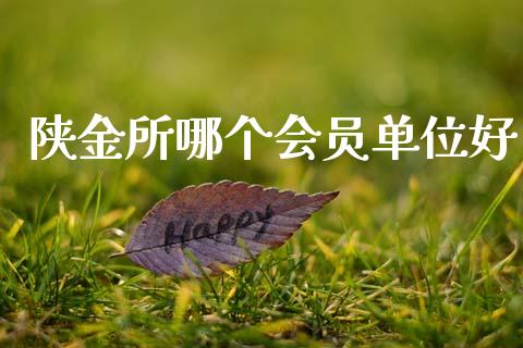 陕金所哪个会员单位好_https://m.letulww.com_股指期货交易时间_第1张