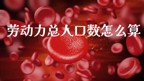 劳动力总人口数怎么算_https://m.letulww.com_期货交易软件_第1张