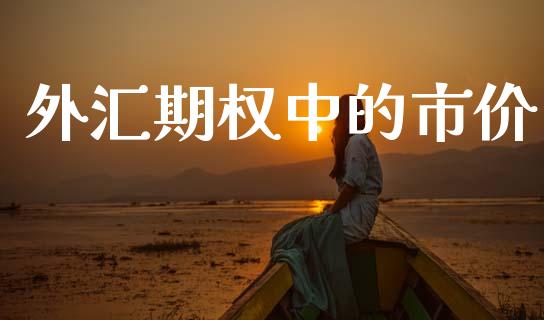 外汇期权中的市价_https://m.letulww.com_期货交易软件_第1张