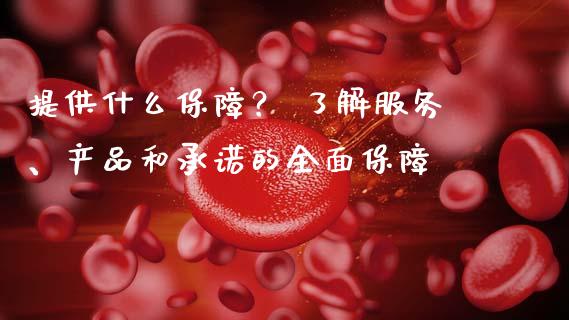提供什么保障？ 了解服务、产品和承诺的全面保障_https://m.letulww.com_期货交易软件_第1张