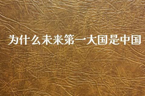 为什么未来第一大国是中国_https://m.letulww.com_期货交易策略_第1张