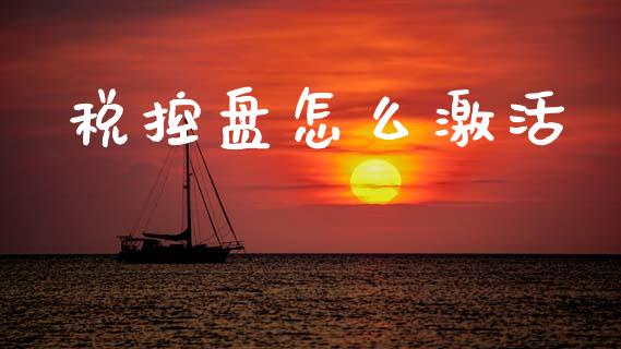 税控盘怎么激活_https://m.letulww.com_股指期货交易时间_第1张