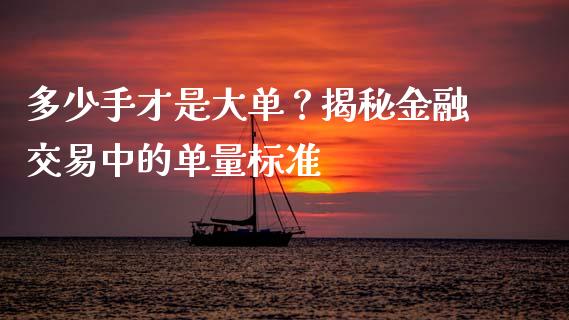 多少手才是大单？揭秘金融交易中的单量标准_https://m.letulww.com_期货交易策略_第1张