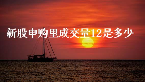 新股申购里成交量12是多少_https://m.letulww.com_期货交易策略_第1张
