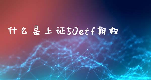什么是上证50etf期权_https://m.letulww.com_期货交易策略_第1张