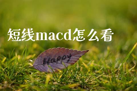 短线macd怎么看_https://m.letulww.com_期货交易策略_第1张