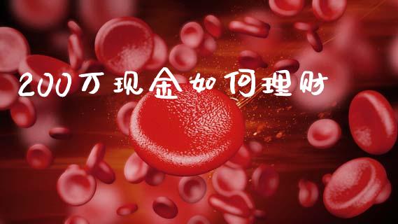 200万现金如何理财_https://m.letulww.com_股指期货交易时间_第1张