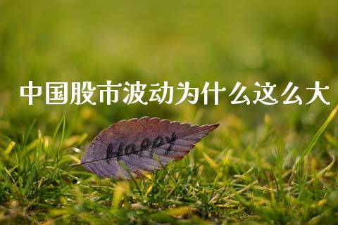 中国股市波动为什么这么大_https://m.letulww.com_期货交易软件_第1张