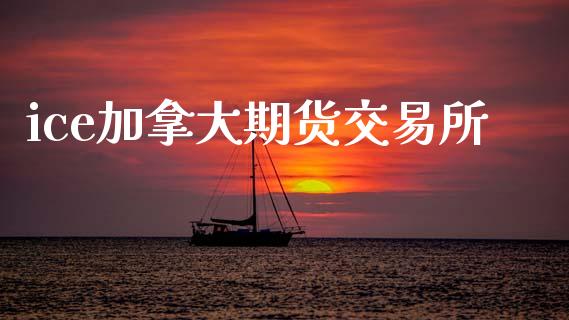 ice加拿大期货交易所_https://m.letulww.com_期货开户保证金_第1张