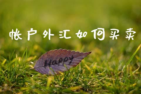 帐户外汇如何买卖_https://m.letulww.com_期货开户保证金_第1张
