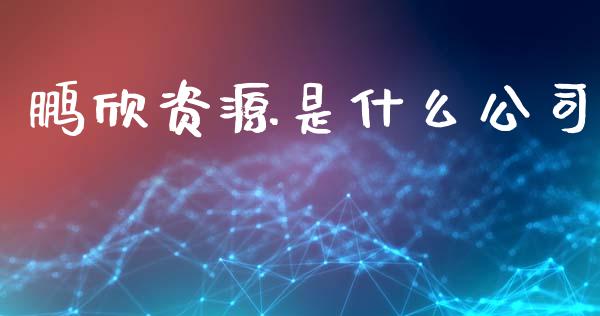 鹏欣资源是什么公司_https://m.letulww.com_期货交易软件_第1张
