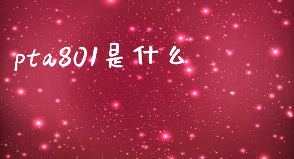 pta801是什么_https://m.letulww.com_期货开户保证金_第1张