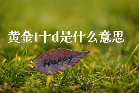 黄金t十d是什么意思_https://m.letulww.com_期货交易软件_第1张