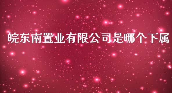 皖东南置业有限公司是哪个下属_https://m.letulww.com_股指期货交易时间_第1张