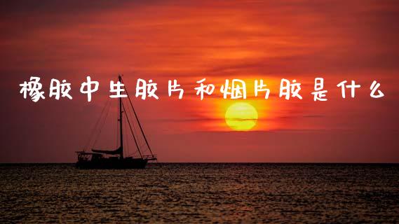 橡胶中生胶片和烟片胶是什么_https://m.letulww.com_期货开户保证金_第1张