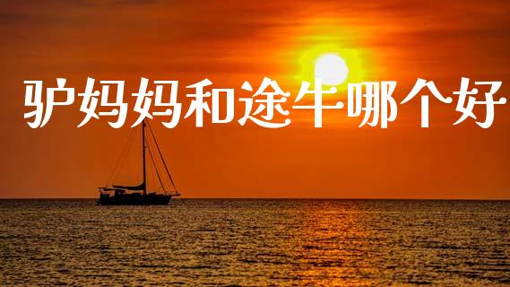 驴妈妈和途牛哪个好_https://m.letulww.com_期货交易策略_第1张