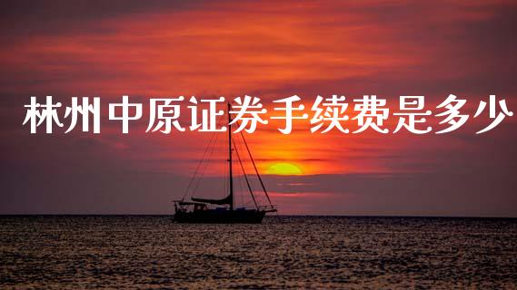 林州中原证券手续费是多少_https://m.letulww.com_期货交易软件_第1张