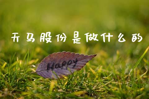 天马股份是做什么的_https://m.letulww.com_期货开户保证金_第1张