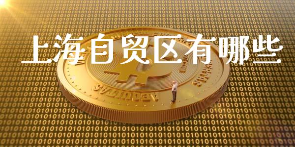 上海自贸区有哪些_期货交易策略_第1张_期货开户保证金_期货交易软件_股指期货交易时间_期货交易策略 上海自贸区有哪些_https://m.letulww.com_期货交易策略_第1张