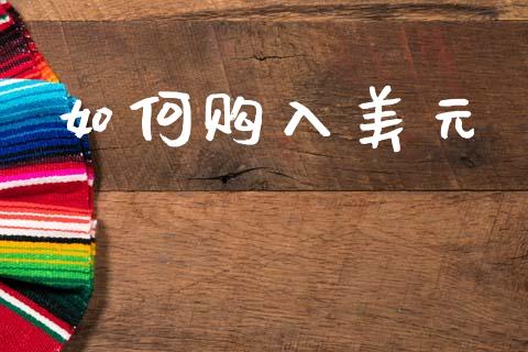 如何购入美元_https://m.letulww.com_期货交易策略_第1张