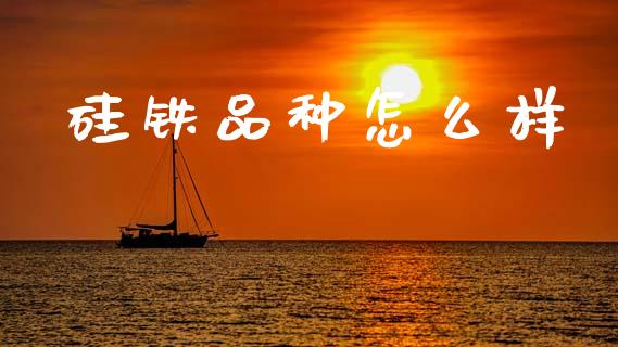 硅铁品种怎么样_期货交易策略_第1张_期货开户保证金_期货交易软件_股指期货交易时间_期货交易策略 硅铁品种怎么样_https://m.letulww.com_期货交易策略_第1张
