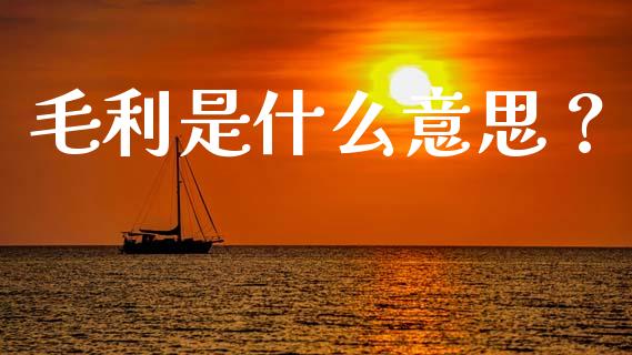 毛利是什么意思？_https://m.letulww.com_股指期货交易时间_第1张