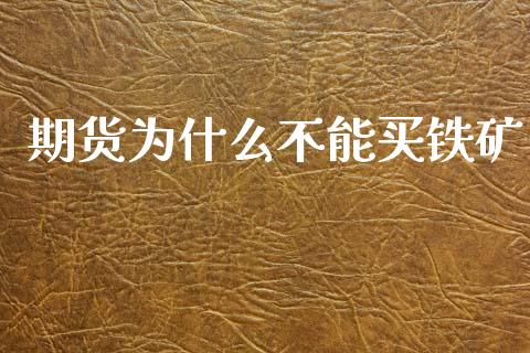 期货为什么不能买铁矿_https://m.letulww.com_期货交易策略_第1张