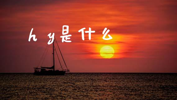 h y是什么_https://m.letulww.com_期货交易策略_第1张