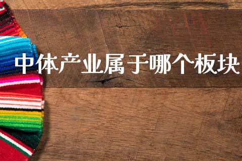 中体产业属于哪个板块_https://m.letulww.com_期货交易软件_第1张