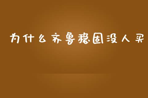 为什么齐鲁稳固没人买_https://m.letulww.com_期货交易软件_第1张
