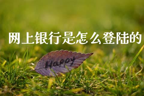 网上银行是怎么登陆的_https://m.letulww.com_期货交易软件_第1张
