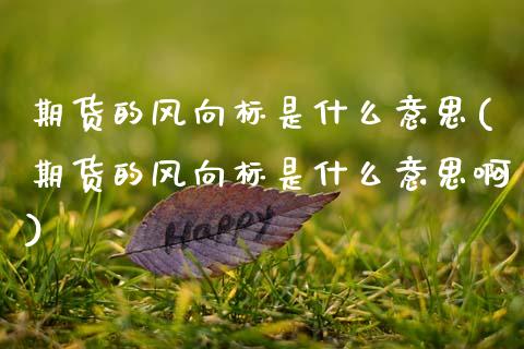 期货的风向标是什么意思(期货的风向标是什么意思啊)_https://m.letulww.com_期货交易软件_第1张