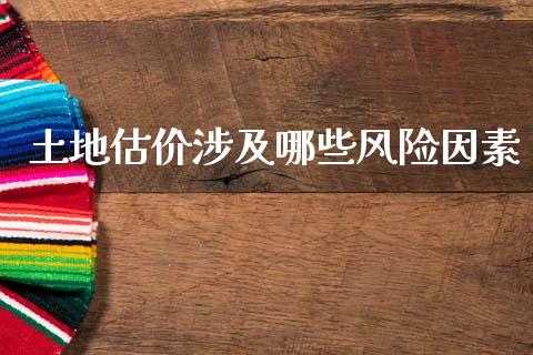 土地估价涉及哪些风险因素_https://m.letulww.com_期货交易策略_第1张