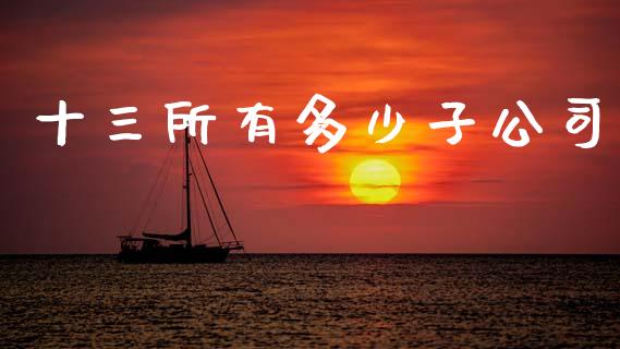 十三所有多少子公司_https://m.letulww.com_股指期货交易时间_第1张