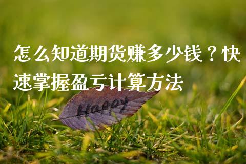 怎么知道期货赚多少钱？快速掌握盈亏计算方法_https://m.letulww.com_期货开户保证金_第1张