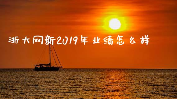 浙大网新2019年业绩怎么样_https://m.letulww.com_股指期货交易时间_第1张
