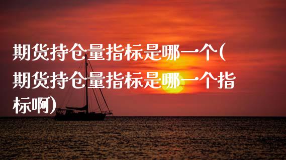 期货持仓量指标是哪一个(期货持仓量指标是哪一个指标啊)_https://m.letulww.com_期货交易软件_第1张