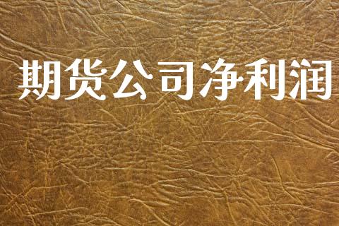 期货公司净利润_https://m.letulww.com_期货交易策略_第1张