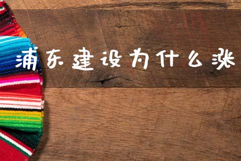 浦东建设为什么涨_https://m.letulww.com_期货交易策略_第1张