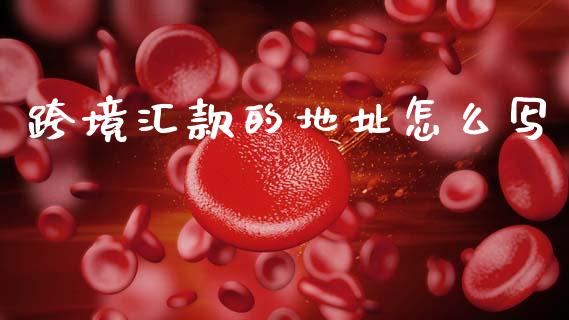 跨境汇款的地址怎么写_https://m.letulww.com_期货开户保证金_第1张