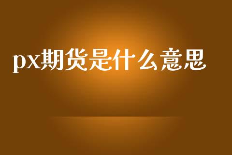 px期货是什么意思_https://m.letulww.com_期货交易软件_第1张
