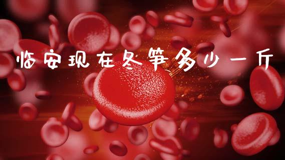临安现在冬笋多少一斤_https://m.letulww.com_股指期货交易时间_第1张